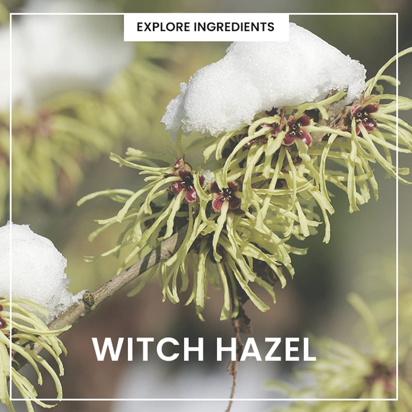 HEIMISH All Clean Green Foam Moisturizing Face Cleanser, Hydrating Gentle Gel Cleanser, Daily Face Wash for Sensitive Skin with Amino Acid, P.H 5.5, for Double Cleansing, Korean Skincare, 5.3oz/150g