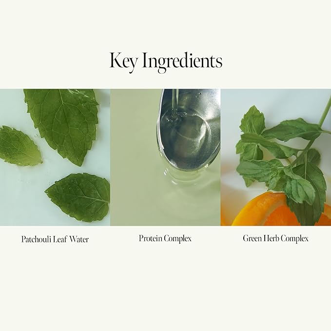 Patchouli Garden Damage Repair Shampoo - Korean Hair Care Nourishing Shampoo for Men & Women w/Patchouli Leaf Water, Protein Complex & Green Herb Complex - Vegan Scalp Cleanser (15.22 fl.oz)