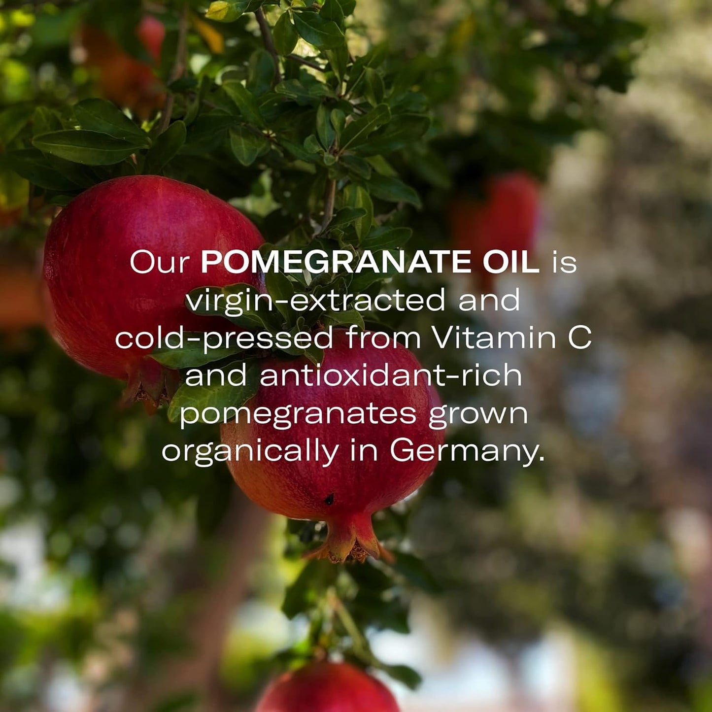 Odacité Hydrating Serum Concentrate with Pomegranate & Rose Geranium - for Hydration & Glow - Hydrating & Nourishing Anti-Aging Facial Oil Concentrate Enhance Skins Moisture Barrier - 0.17 fl. oz