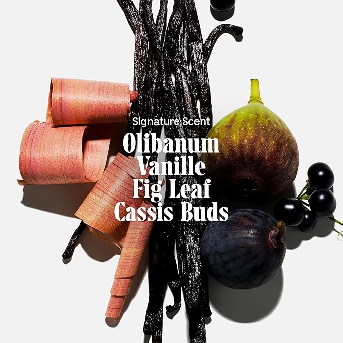 Nécessaire The Body Wash Olibanum. Natural Body Wash for Women + Men. Radiance Cleanse. Multi-Enzyme Gel Cleanser for Dull Skin. Notes of Vanilla, Fig Leaf, and Cassis Buds. 16.9 Fl Oz.